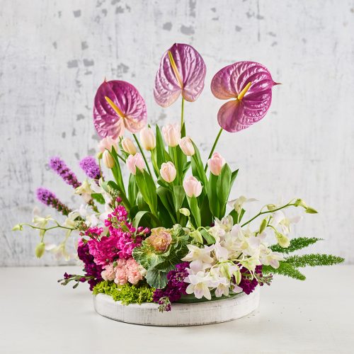 ᐅ Flores para Semana Santa - Pide tus flores al Tel: 01 (55) 5523 1121